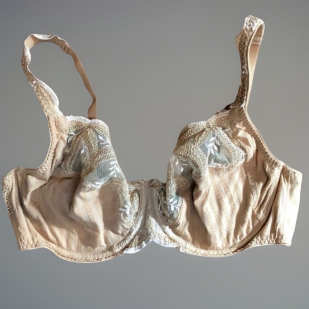 Vintage Chantelle Embroidery Underwire Lace Bra 34C